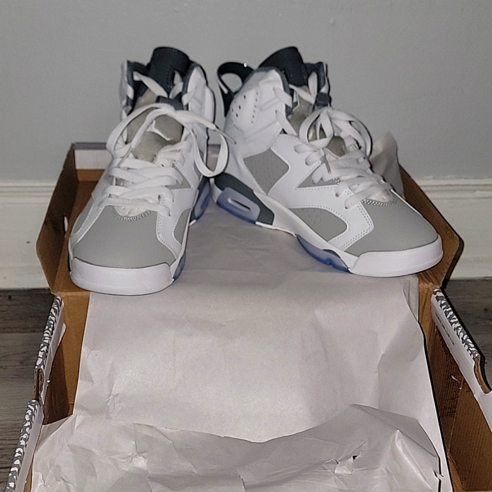 Cool grey Jordan 6s